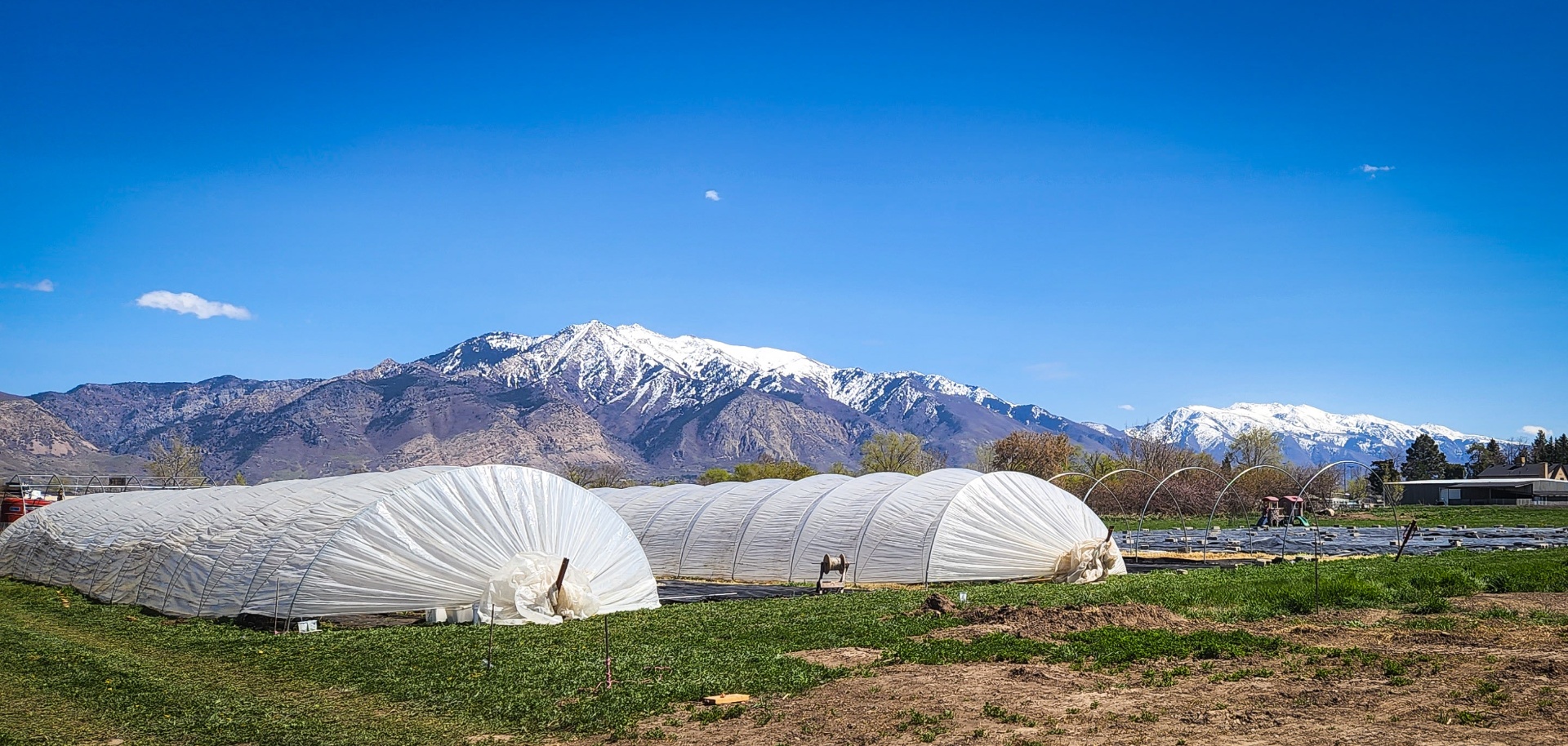 Utah farm with hoop-house greenhouses and snow-capped mountains behind